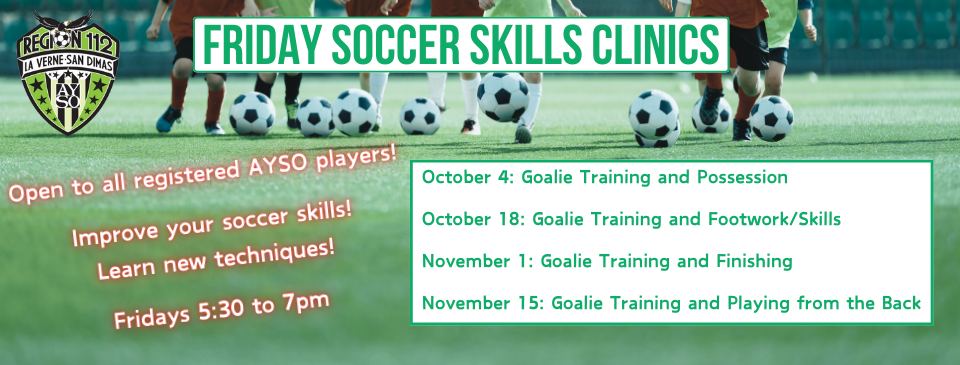 Friday Soccer Skills Clinics